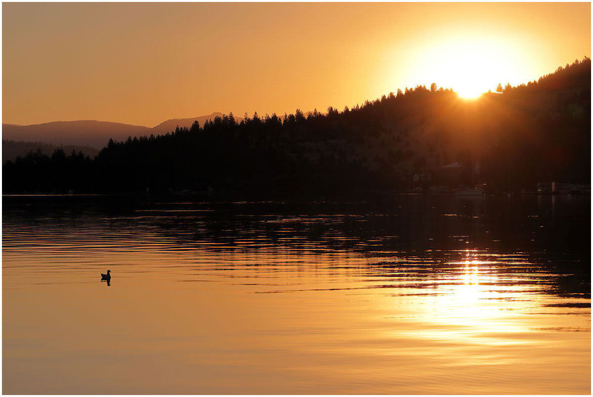 Gheno Rich Sunrise on Flathead Lake Nature   General   Class A 20251022
